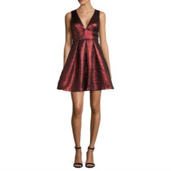 Susana Monaco Maddie Red Metallic A-line Pleated Party Dress Size 4 - Picture 1 of 10